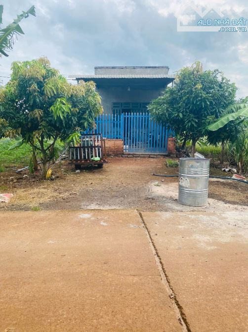 BÁN ĐẤT GẦN NHÀ THỜ PHÚ VINH. XÃ HOÀ HIỆP. XUYÊN MỘC. BRVT
