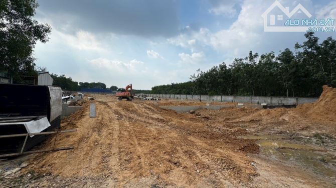 BÁN ĐẤT TRONG KCN ĐỒNG NAI (BĐ166)