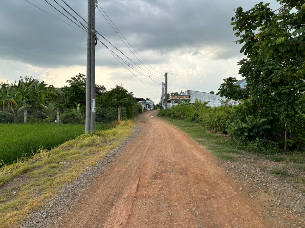 Bán đất lúa Óc Đảo Long Hựu, 1000m2 mặt tiền đường 7m, giá tốt đầu tư 2.5 tỷ