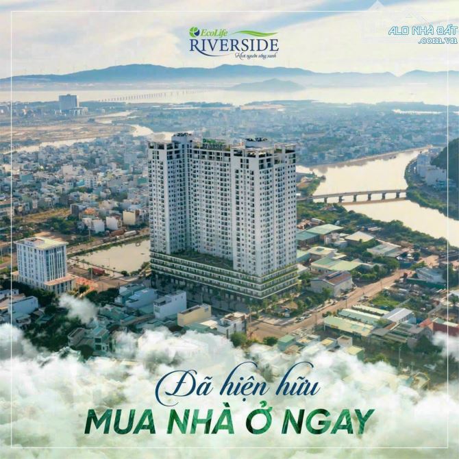 QUỸ CĂN SANG NHƯỢNG CHUNG CƯ ECOLIFE QUY NHƠN. NHÌU CĂN SANG NHƯỢNG