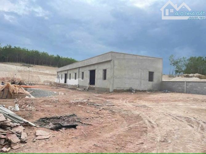 CHO THUÊ HOẶC BÁN XƯỞNG TẠI BẮC TÂN UYÊN BÌNH DƯƠNG (CTX227,BX79)