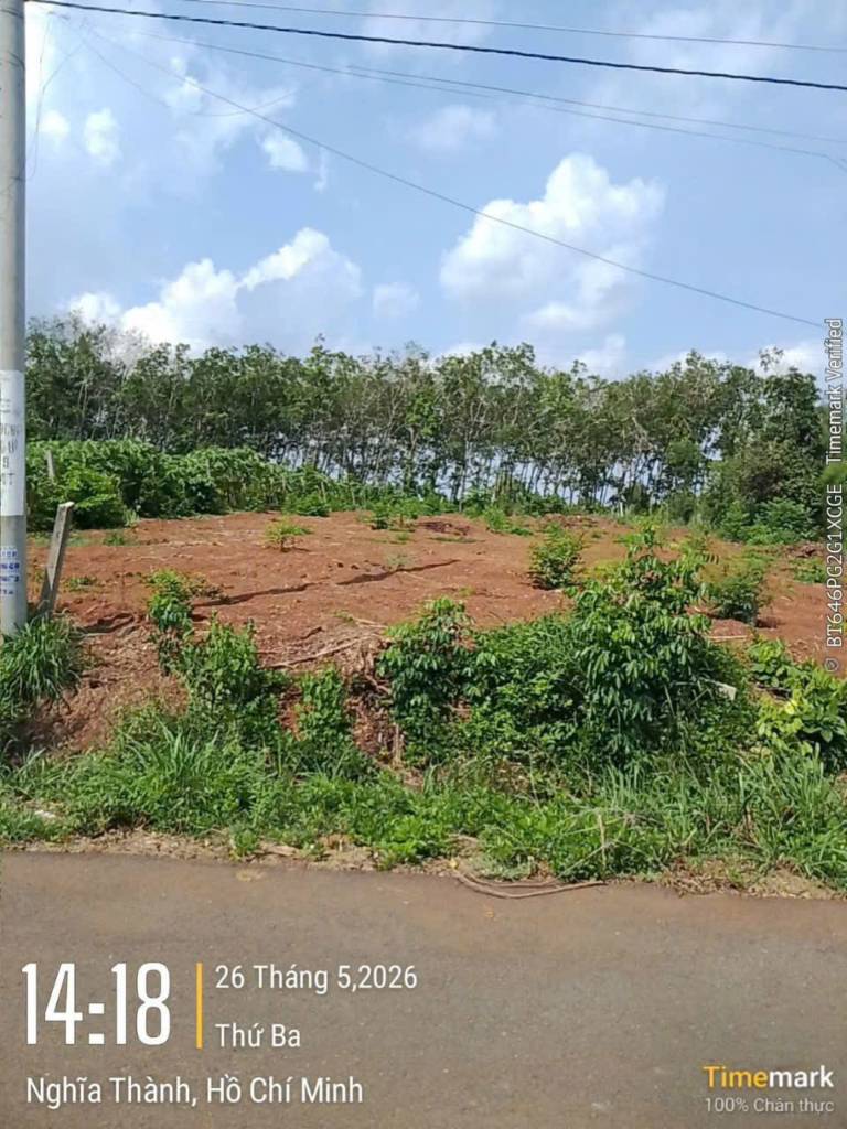 Bán đất Đá Bạc Bà Rịa Vũng Tàu, 15x40m có 100m thổ cư, đường nhựa, khu dân cư, giá 1,35 tỷ