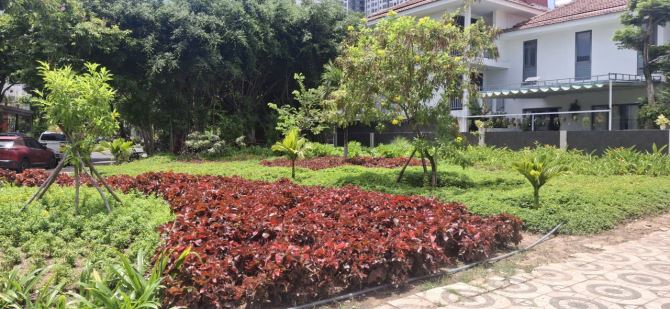 Bán bất động sản, 250 m², Sơn Trà