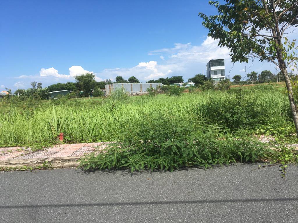 Đất nền kdc Nam Phong, Long An, dt 85m2, Chủ kẹt cần bán gấp giá rẻ