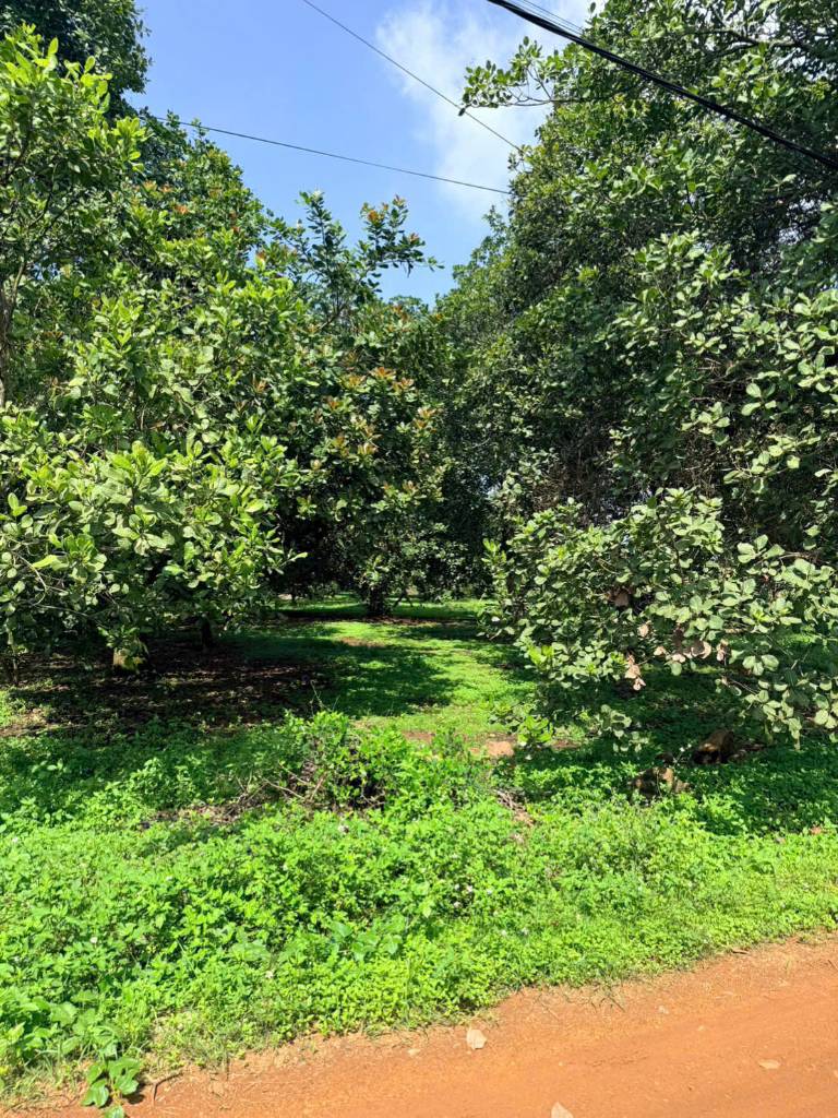 Bán gấp lô đất vườn điều Gia Tân 1 Đồng Nai, view Hồ Trị An, 1081m2 ôm suối 62m, giảm thẳng 200tr