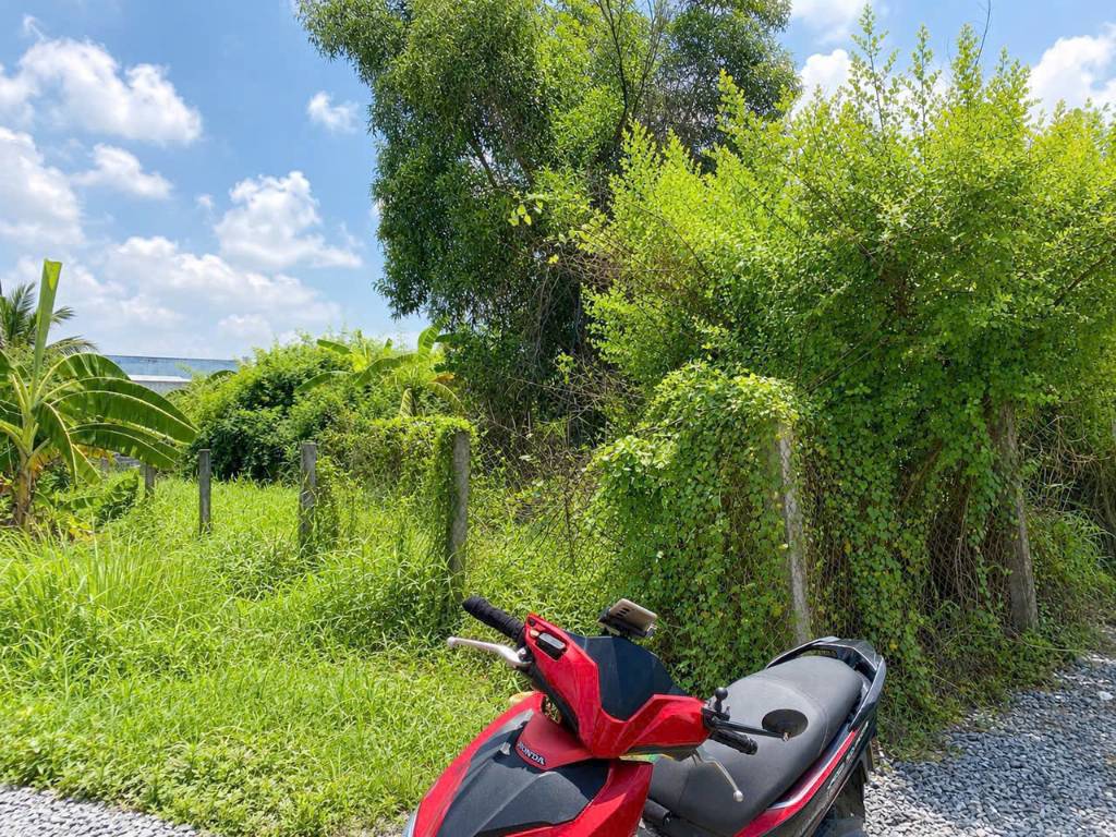 Bán đất thổ cư Long Cang, Tây Ninh, 179m² cách 50m đường 830, giá 1,25 tỷ