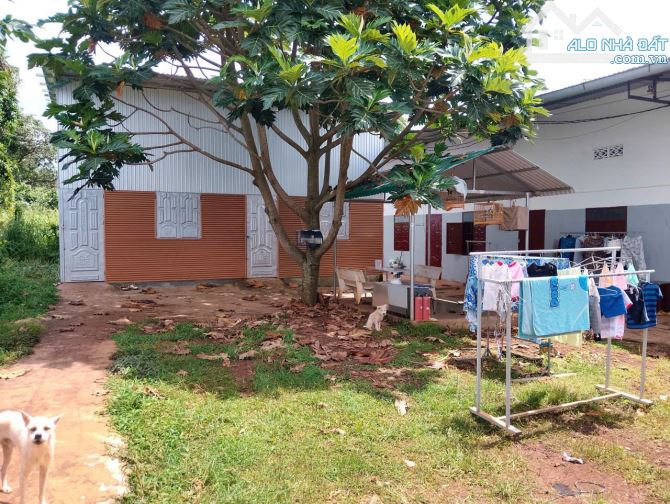 DÃY TRỌ 7 PHÒNG FULL KHÁCH – GẦN BỆNH VIỆN VÙNG – DÒNG TIỀN 8TR/THÁNG
