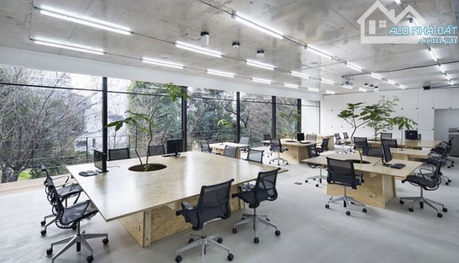 SẬP HẦM! TOÀ VĂN PHÒNG PHỐ XUÂN THUỶ - ĐƯỜNG 30M – 6TẦNG CẢI TẠO, THANG MÁY – XÍU 14 TỶ