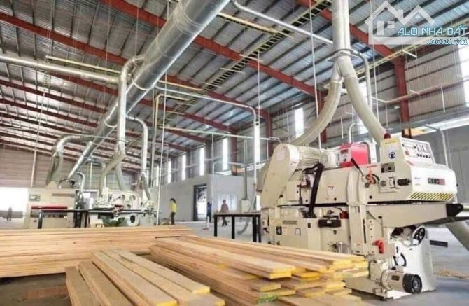 CHUYỂN NHƯỢNG NHÀ XƯỞNG CỤM CN HÓC MÔN – 4.000M² – PHÁP LÝ CHUẨN – GIÁ 33 TỶ