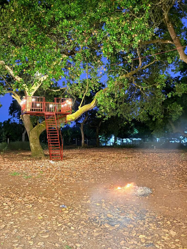 BÁN GẤP ĐẤT VƯỜN ĐIỀU THỐNG NHẤT, ĐỒNG NAI, VIEW HỒ TRỊ AN, GIÁ NGỘP
