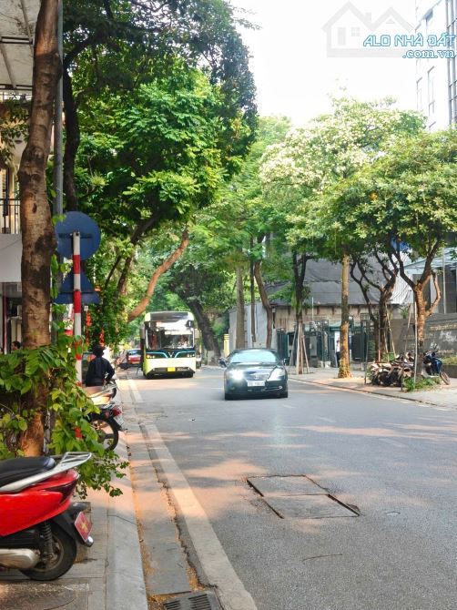 Hiếm độc giá đầu tư 32 tỷ oto đỗ cửa khu phân lô Quán Thánh, sổ 102m2 đất đẹp Apartment