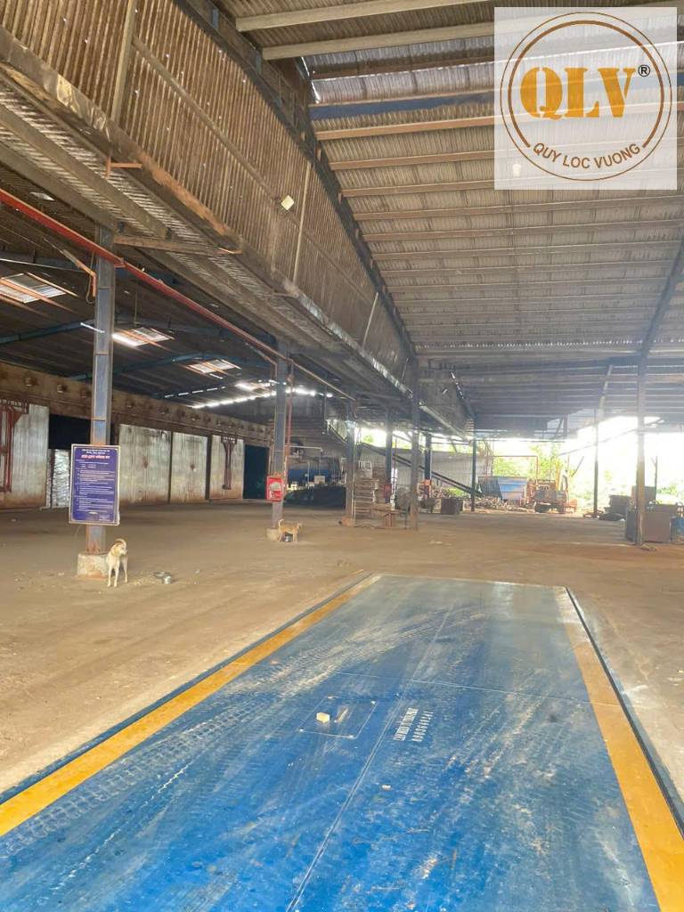 BÁN NHÀ XƯỞNG ĐỒNG PHÚ, BÌNH PHƯỚC, DT 8.619m², GIÁ TỐT