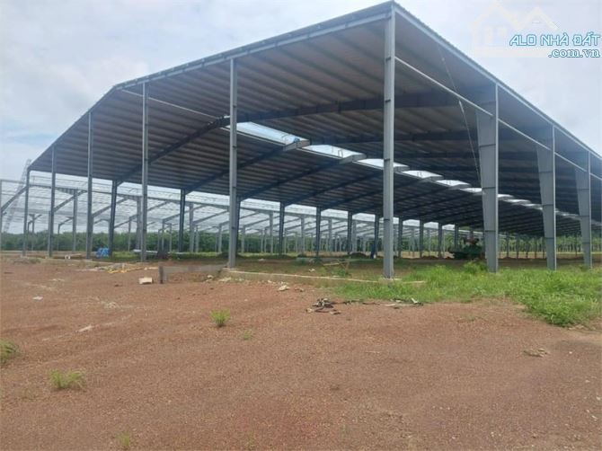 BÁN NHÀ XƯỞNG HOÀN THIỆN PHẦN THÔ – PHÚ GIÁO, BÌNH DƯƠNG Giá bán : 63 Tỷ (Thương lượng )