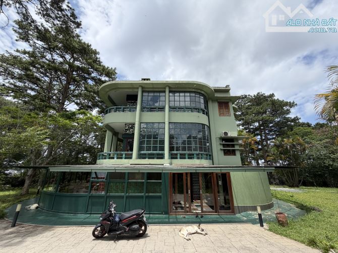 BIỆT THỰ 3 mặt tiền Nguyễn Khuyến Đà Lạt GẦN 5.000m² Full THỔ CƯ, 650 tỷ
