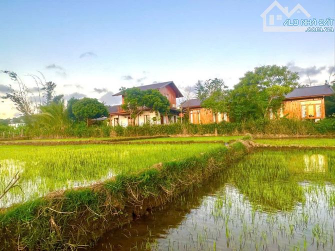 CẦN BÁN HOMESTAY RỘNG 2.300M2 - NỞ HẬU - TRUNG TÂM BMT THUỘC PHƯỜNG EA TAM, TP. BUÔN MA TH