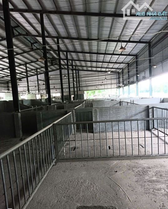 Bán Nhà xưởng có sẵn lò mổ gia cầm Trảng Bom gần Ngã 3 Sông Thao - TP .ĐỒNG NAI ----
