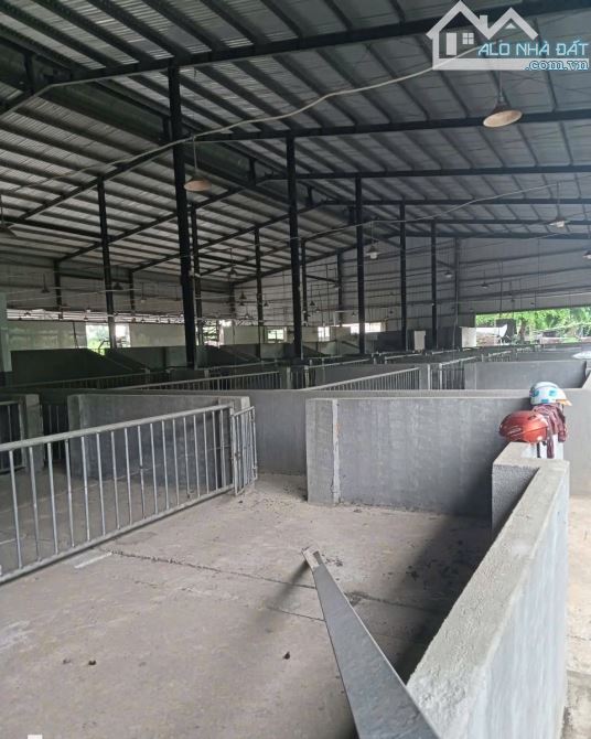 X135 Bán Nhà xưởng có sẵn lò mổ gia cầm Trảng Bom gần Ngã 3 Sông Thao - TP .ĐỒNG NAI