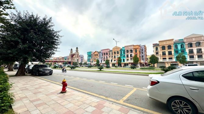 Lô Góc-View Công Viên-Gần Bệnh Viện VinMec.Bán Biệt Thự VinOCP2,Dt 97m2,Giá 19 Tỷ.