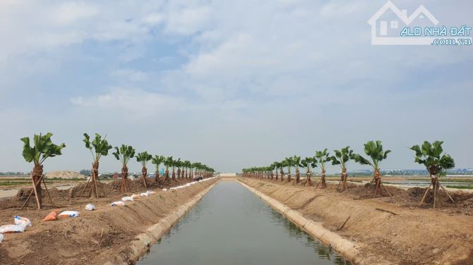 Cty cần bán 4ha đất tái chế mã E38 KCN Nam Định, Đất đóng tiền 1 lần  chỉ từ 110 usd /m2.