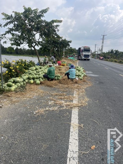 Bán đất mặt tiền đường nhưa khu đông dân cư thới lai