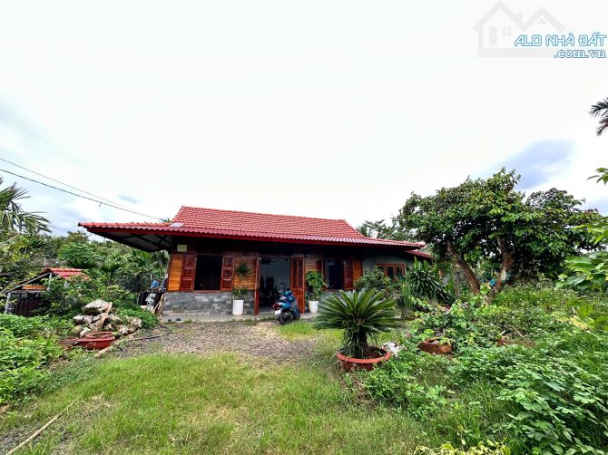 🍀🍀Nhà Vườn Đẹp Sau Chợ Đạt Lý ! Hơn 1 Sào Đất - Có Thổ Cư - Có Ao Cá Xinh | Chỉ 3Tyxxx