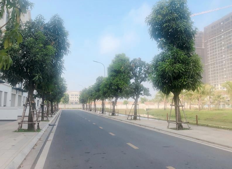 Bán Shophouse Vinhomes Grand Park, đã hoàn thiện, sổ hồng, đang cho thuê 30tr/tháng