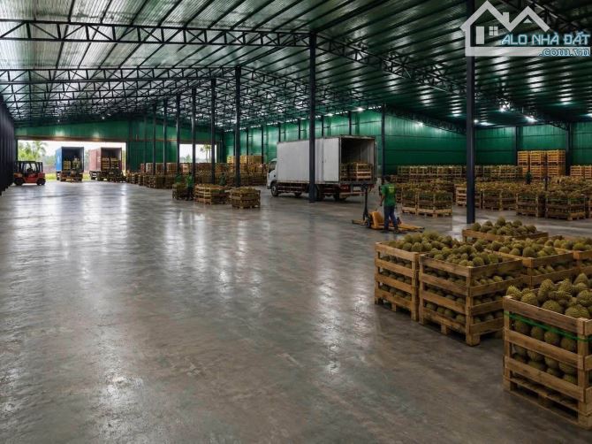 💥Kho 5100m2 Tỉnh lộ 8 Cưm'gar đang cho thuê 2tỷ/năm