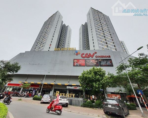 BÁN KIOT TÒA RICE CITY TÂY NAM LINH ĐÀM HOÀNG MAI, 50M,MT5M, KINH DOANH ĐỈNH
