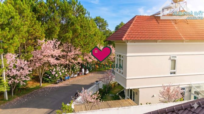 Bán biệt thự KQH An Sơn Phường Xuân Hương - Đà Lạt thuận tiện nghỉ dưỡng view thông vĩnh v