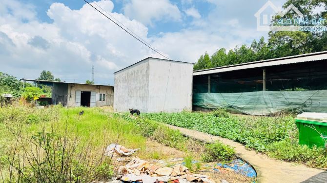 X159 bán xưởng, trại heo đang hoạt động ổn định, vị trí xa dân cư, có suối sau đất
