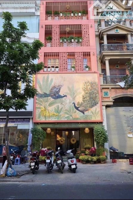 Bán Ngay Nhà Đang Kinh Doanh Cho Thuê Ngay Điện Biên Phủ, Quận 10. Giá: 4tỷ840/ 5mx14,8m