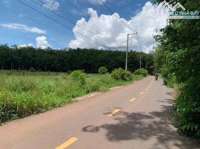 Bán Đất SKC Tại An Long Phú Giáo Bình Dương (BĐ195)