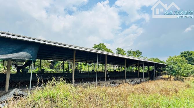 X159 🌿 BÁN TRẠI HEO ĐANG CHO THU HOẠCH ĐỀU ĐẶN & Đất Trống TDT 10.000m2 • Dầu Giây – Thốn