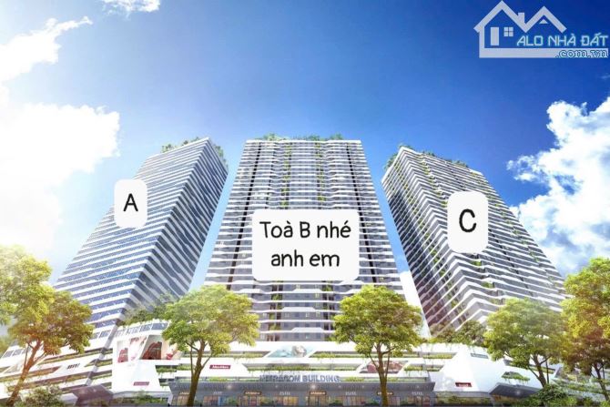 itracom nhật tân -ngọc chi-vĩnh ngọc