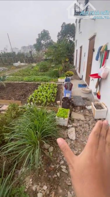 Cần tiền kinh doanh bán nhà xây mới siêu đẹp