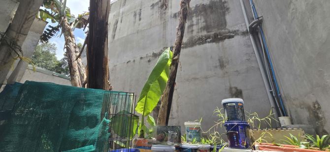 Bán dãy trọ 9 phòng 335m2 mặt tiền Nguyễn Đức Thiệu