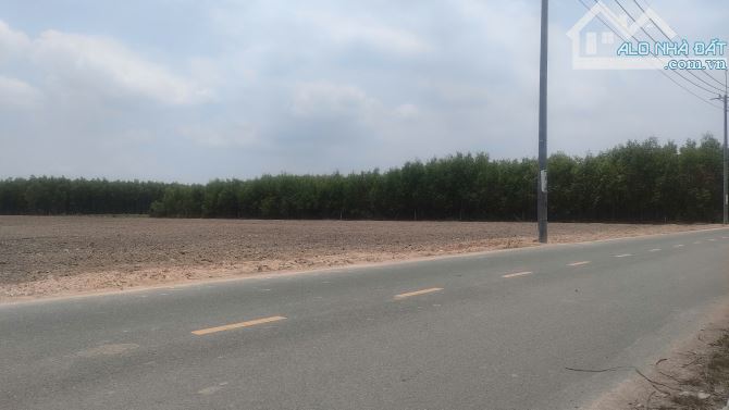 BÁN 3,54 HA ĐẤT LONG PHƯỚC – LONG THÀNH | MẶT TIỀN ĐƯỜNG NHỰA | GẦN QL51 | GIÁ CHÀO 4,5 TR