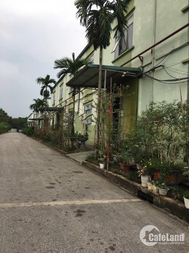 Bán đất kho xưởng DT 9000m2 TT Quang Minh, Mê Linh, Hà Nội.