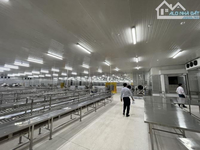 CHUYỂN NHƯỢNG NHÀ MÁY VEN SÔNG HẬU DT: 19.728,2 m² – BÌNH MINH, VĨNH LONG | GIÁ 150 TỶ, TL