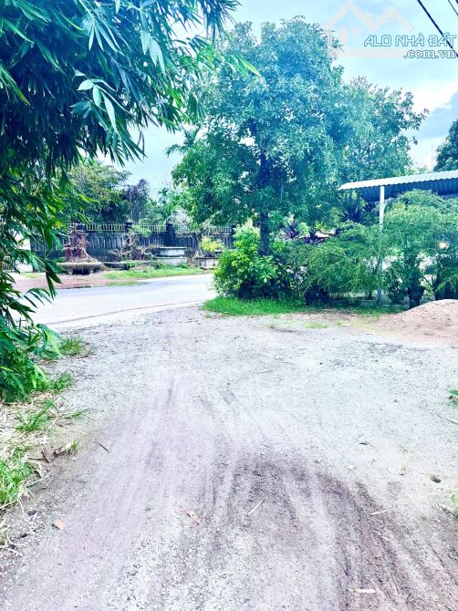 Bán nhà kiệt 203 Đại Nam không ngập lụt full nội thất