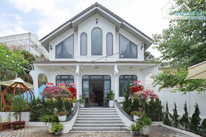 🌿 BÁN BIỆT THỰ SÂN VƯỜN – HỒ BƠI – VIEW ĐẸP, P7 - ĐÀ LẠT- Dt: 1484,11m2 - 25tỷ