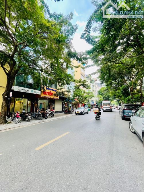 HÀNG HIẾM NGUYỄN DU – MẶT PHỐ TRUNG TÂM – 7 TẦNG THANG MÁY – THÔNG SÀN – VỈA HÈ RỘNG