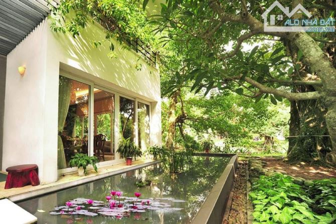 🌿 BIỆT THỰ RỪNG MAI ECOPARK – NƠI ĐÁNG SỐNG BẬC NHẤT HÀ NỘI Không chỉ là một ngôi nhà, m
