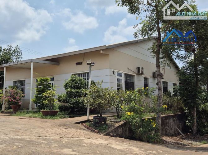 Bán xưởng Phân Bón 8.800m² huyện Vĩnh Cửu, Đồng Nai giá chỉ 39,5 tỷ