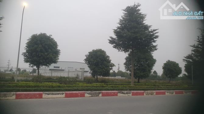 Cty cần bán 8000 m2 đất sxkd KCN Yên Mỹ, chỉ 132 usd/m2.