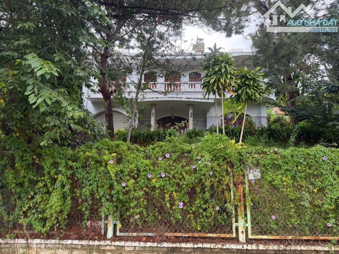 Bán Villa 525m2 đường Hùng Vương, P.09, Đà Lạt 👉 Diện tíc