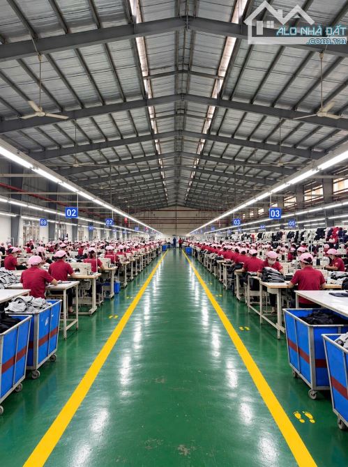 BÁN HOẶC CHO THUÊ LẠI toàn bộ nhà máy C.Ty May mặc có sẵn 10 chuyền may và công nhân - N