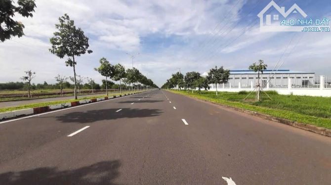 Chuyển nhượng hơn 10ha đất góc 3 mặt tiền trong KCN Châu Đức Bà Rịa Vũng Tàu Giá Rẻ