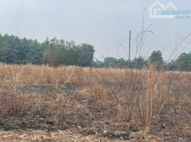 ✓Chuyển nhượng lô đất SKK trong KCN Đồng Nai. 🔹Dt 6000m2 🔹Đt 8000m2. 👉G.ía