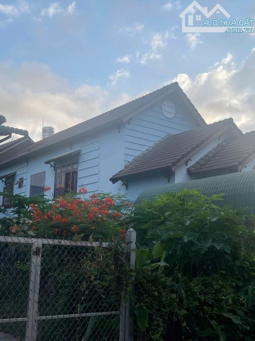 🏡 BÁN NHÀ ĐẤT VỊ TRÍ TIỀM NĂNG – TRUNG TÂM BUÔN MA THUỘT
